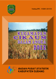 Kecamatan Cikaum Dalam Angka 2012