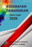 Kecamatan Pamanukan Dalam Angka 2020